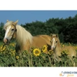 Ravensburger - Puzzle 200XXL - Lovak