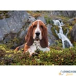 Clementoni - Charlie Brown 1000db-os puzzle 69x50cm
