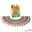 Crayola - Bőrszínű zsírkréta 24db-os 52-0114