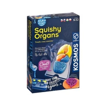 KOSMOS - Fun science - Squishy Organs kísérletező készlet 616823