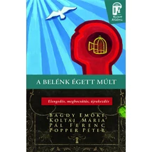 A belénk égett múlt 