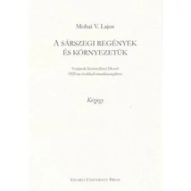 A sárszegi regények és környezetük