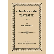 Gyöngyös és vidéke története