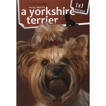 A yorkshire terrier