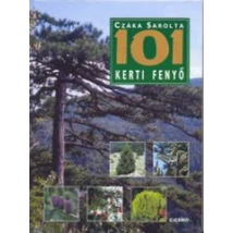 101 kerti fenyő