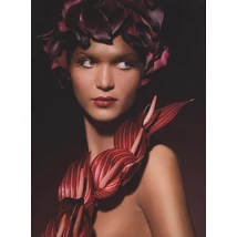 Graphis Photography Annual 2009