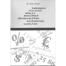 Elemzés - Vállalatielemzés - Mérlegelemzés