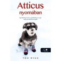 Atticus nyomában