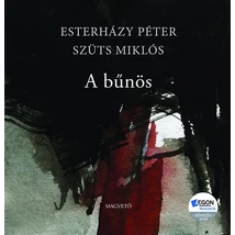 A bűnös