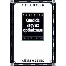Candide vagy az optimizmus - Talentum műelemzések
