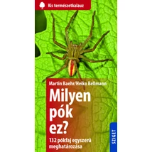 Milyen pók ez?