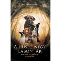 A hűség négy lábon jár