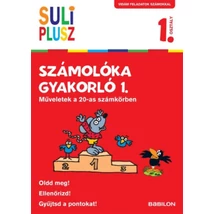 Suli Plusz Számolóka gyakorló 1.