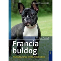 Francia buldog