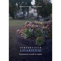 Sempervivum Savariense - Szombathelyi temetők és kripták