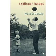 Köztársaság