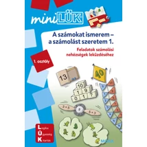 A számokat ismerem-a számolást szeretem - LDI231