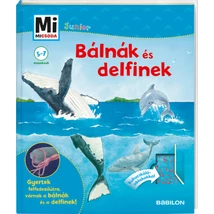 Bálnák és delfinek