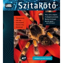 Szitakötő 2019/47