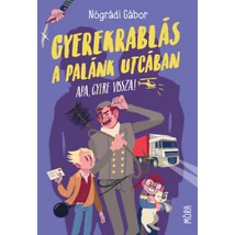 Gyerekrablás a Palánk utcában