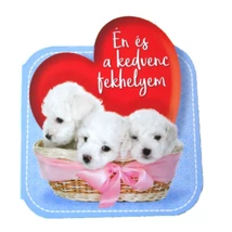 Én és a kedvenc fekhelyem