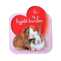 Én és a legjobb barátom