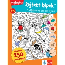 Rejtett képek 13. - Bagolyvár és sok más fejtörők