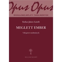 Meglett ember