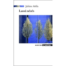 Lassú nézés