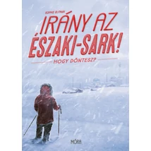 Irány az Északi-sark!