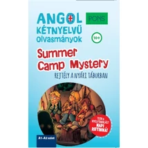 PONS Summer Camp Mystery