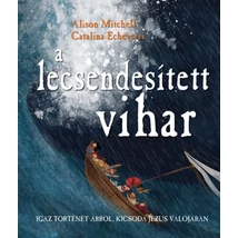 A lecsendesített vihar