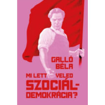 Mi lett veled szociáldemokrácia?