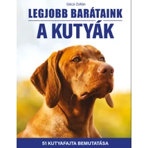 Legjobb barátaink a kutyák