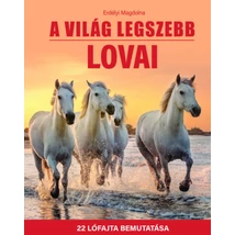 A világ legszebb lovai