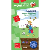 Agytekerő - LDI 578