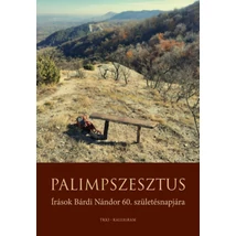 Palimpszesztus