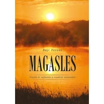 Magasles