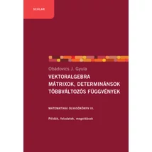Vektoralgebra; mátrixok, determinánsok;  többváltozós függvények