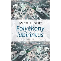 Folyékony labirintus