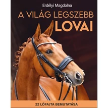 A világ legszebb lovai