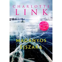 Magányos éjszaka