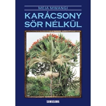Karácsony sör nélkül