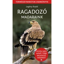 Ragadozó madaraink