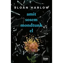 Everything We Never Said - Amit sose mondtunk el