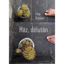Ház, délután