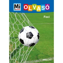 Foci