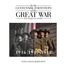 In the Centennial Footsteps of the Great War - from Sarajevo to Versailles - Volume 2 / 1916-1917-1918
