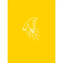 A madarak tapsolnak, amikor felszállnak