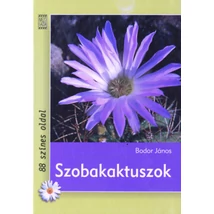 Szobakaktuszok